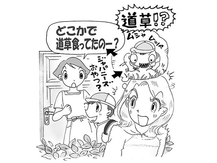 Do Kids Eat Grass 留学生lillian の教えて 日本のコト Club Alpha The Japan Times Alpha オンライン