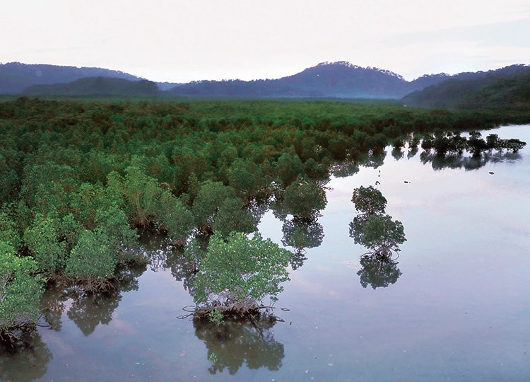 Southwest Japan Islands Set To Become World Heritage Site Top News ニュースで 英語を学べる The Japan Times Alpha オンライン