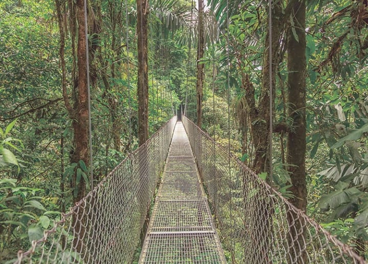 Monteverde Cloud Forest Reserve (Costa Rica)