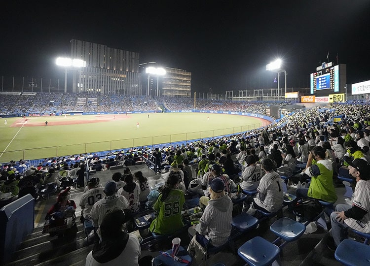 People watch the Swallows play the Carp at Jingu Stadium in Tokyo on Nov. 1.