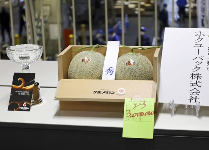 Pair of Hokkaido melons fetch ￥3 million at year’s first auction in Sapporo