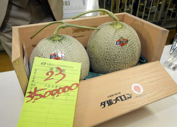 A ￥3.5 million purchase: Melons fetch second-highest price at Hokkaido auction