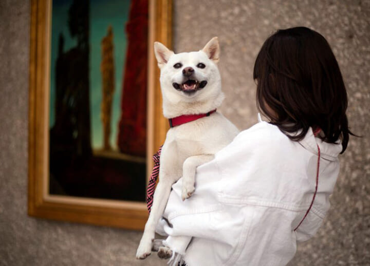 Mexico City art museum invites dogs, masters to view exhibition of modern art