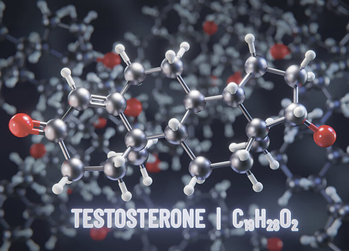 Testosterone – the fuel of war