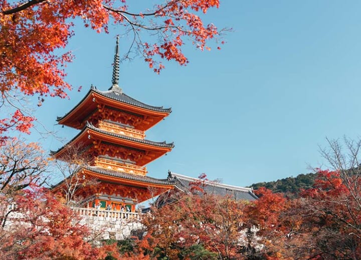 Warm weather expected to delay autumn foliage in parts of Japan, says forecaster