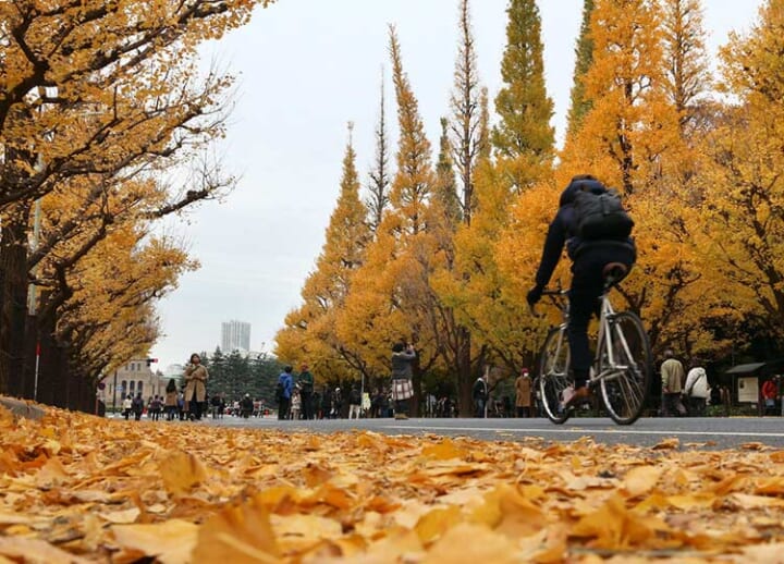 Updated Meiji Jingu Gaien district redevelopment plan to keep more trees